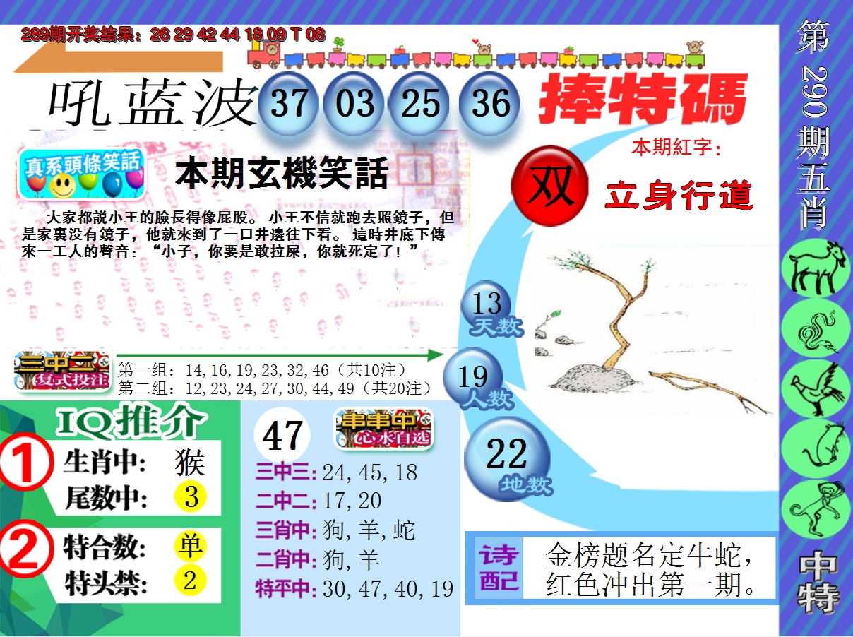 2024290期新特报
