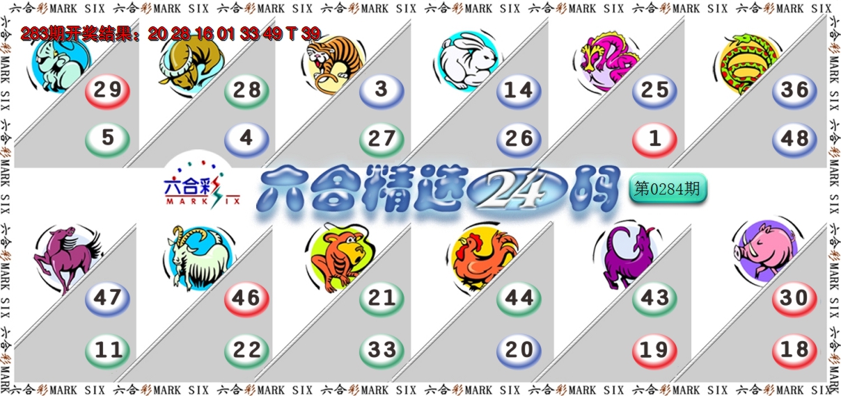 2024284期六合精选24码