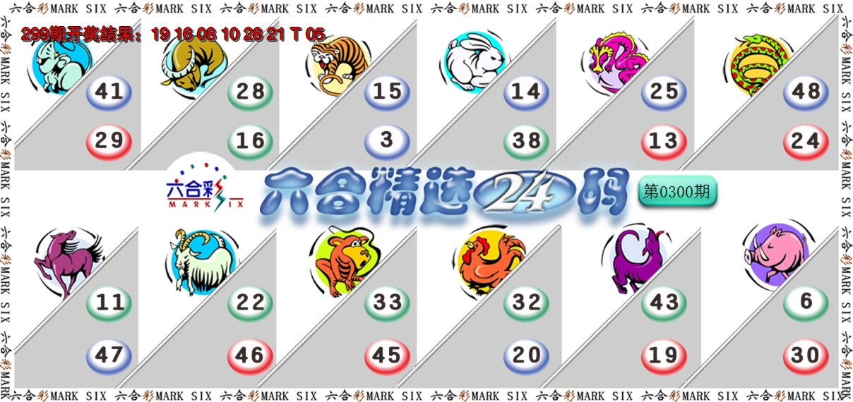 2024300期六合精选24码