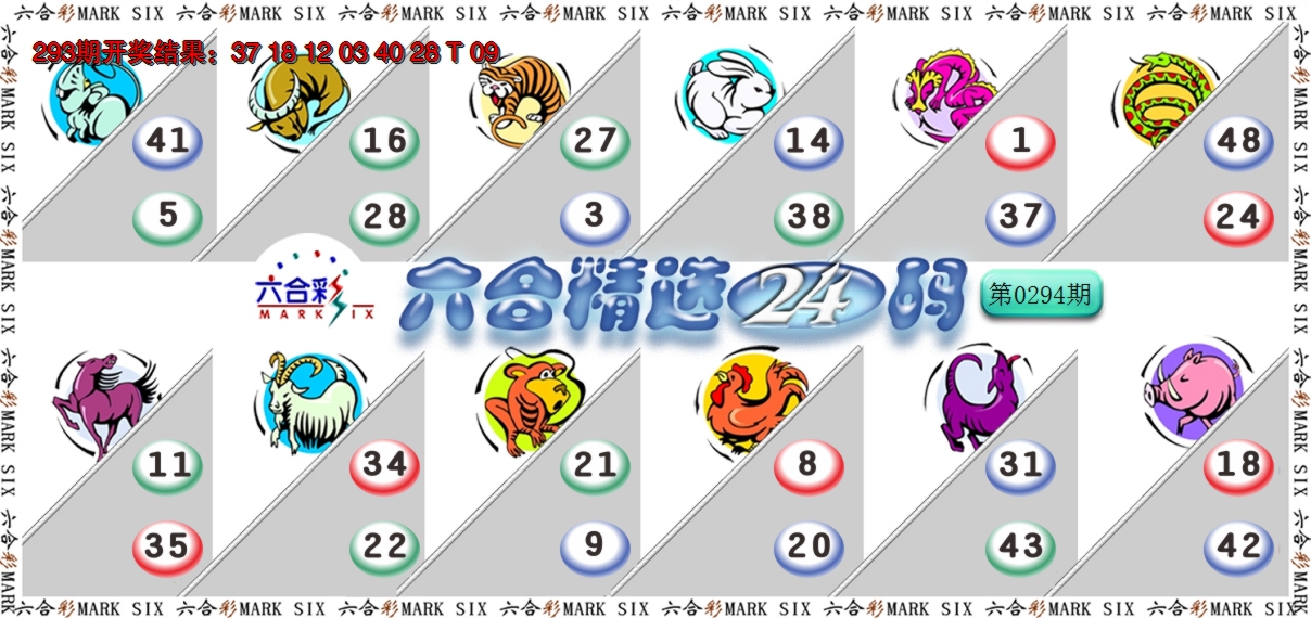 2024294期六合精选24码