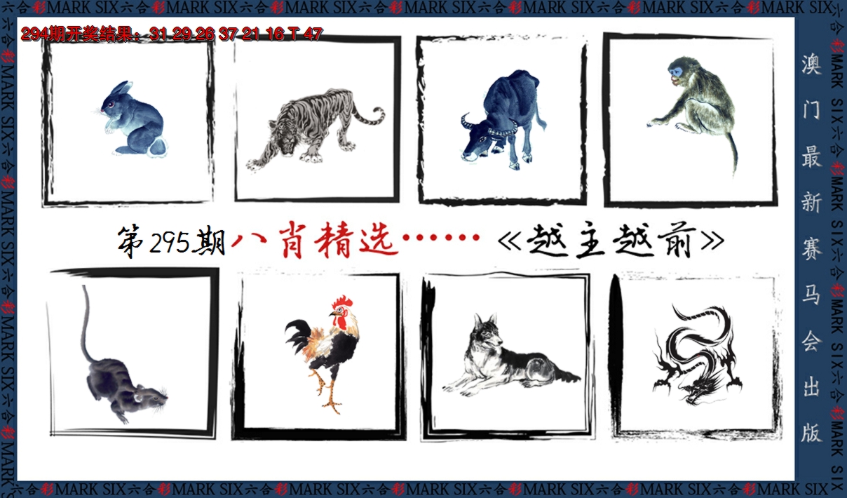 2024295期八肖精选