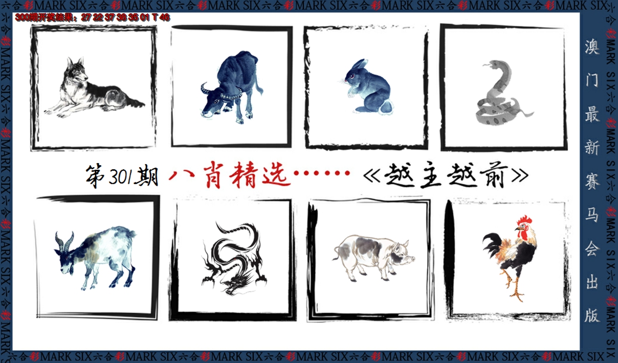 2024301期八肖精选