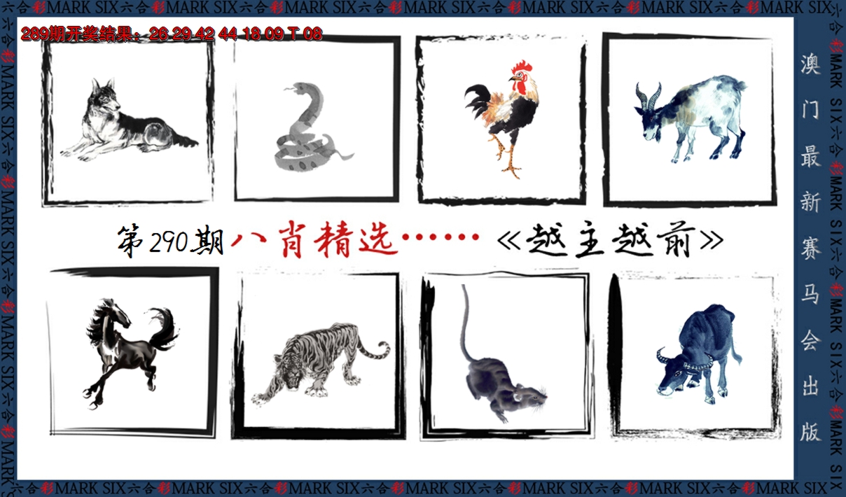 2024290期八肖精选