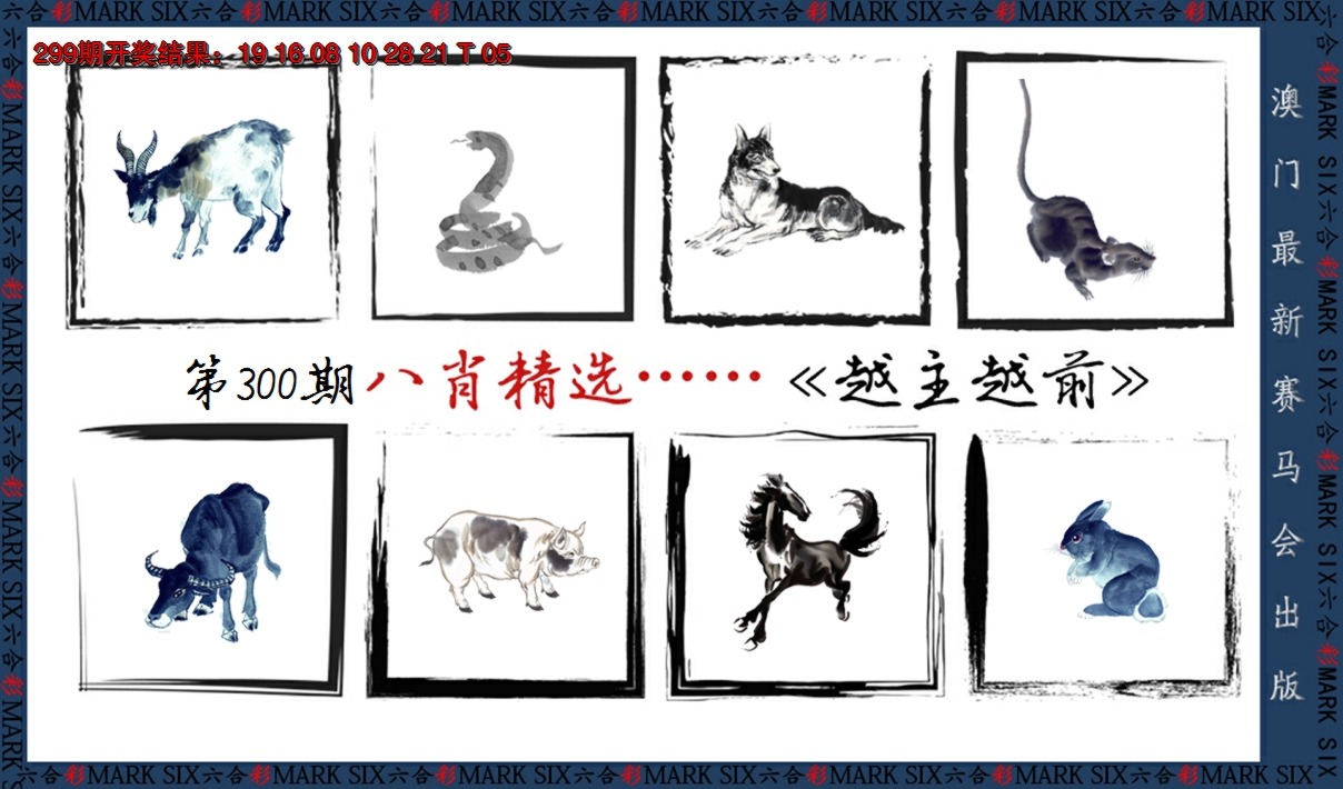 2024300期八肖精选