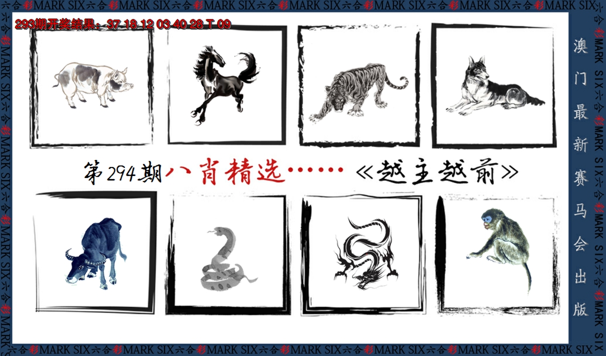 2024294期八肖精选
