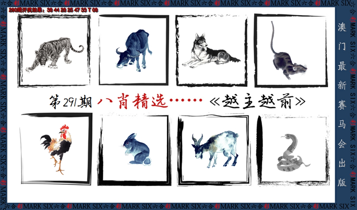2024291期八肖精选