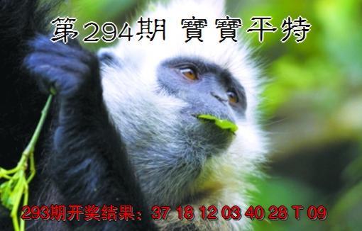 2024294期宝宝平特