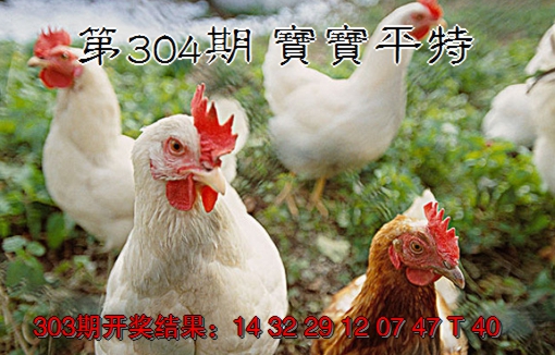 2024304期宝宝平特