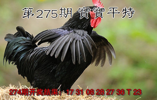 2024275期宝宝平特