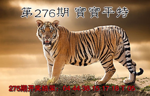 2024276期宝宝平特