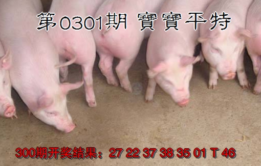 2024301期宝宝平特