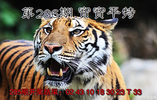 2024286期宝宝平特