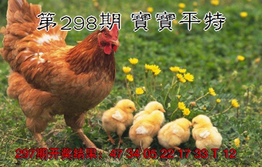 2024298期宝宝平特