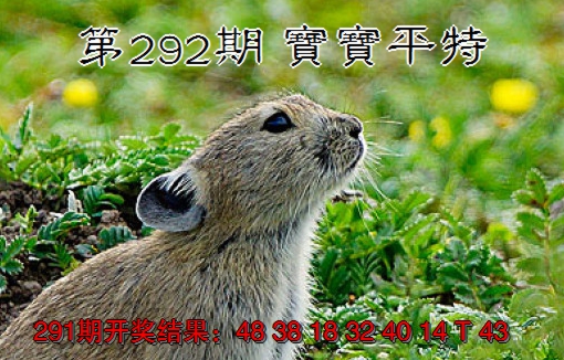 2024292期宝宝平特