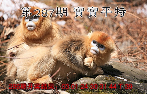 2024287期宝宝平特