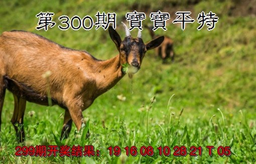 2024300期宝宝平特