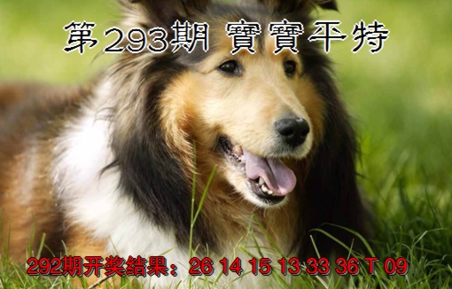 2024293期宝宝平特