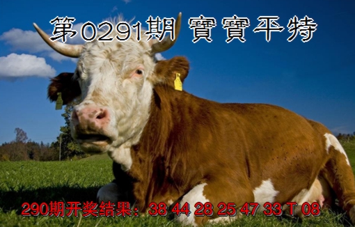 2024291期宝宝平特