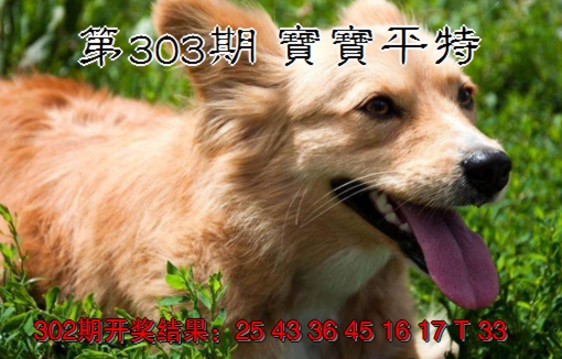2024303期宝宝平特