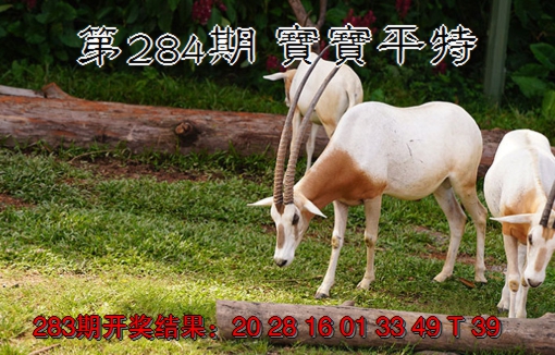 2024284期宝宝平特