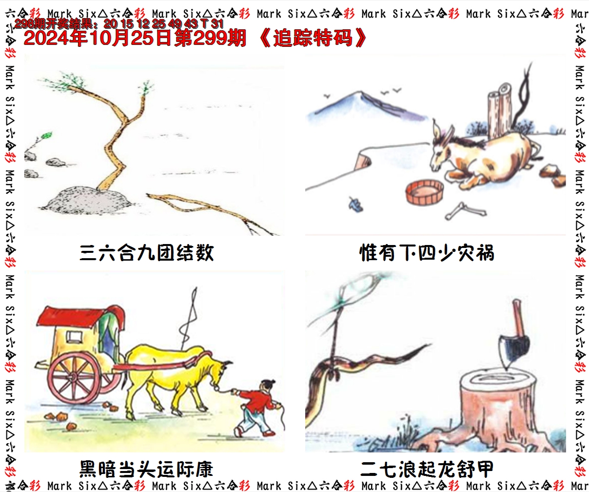 2024299期追踪特码