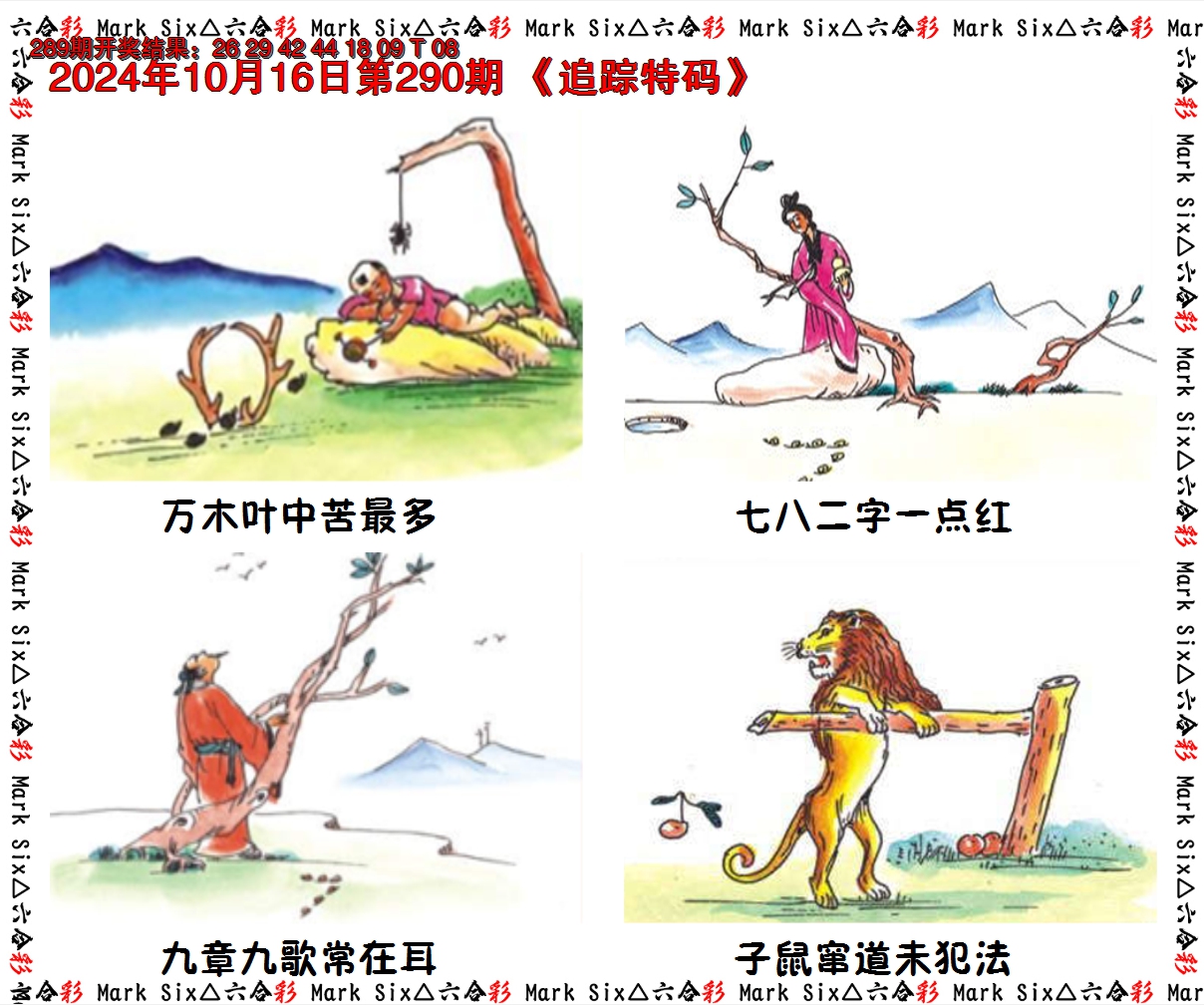 2024290期追踪特码