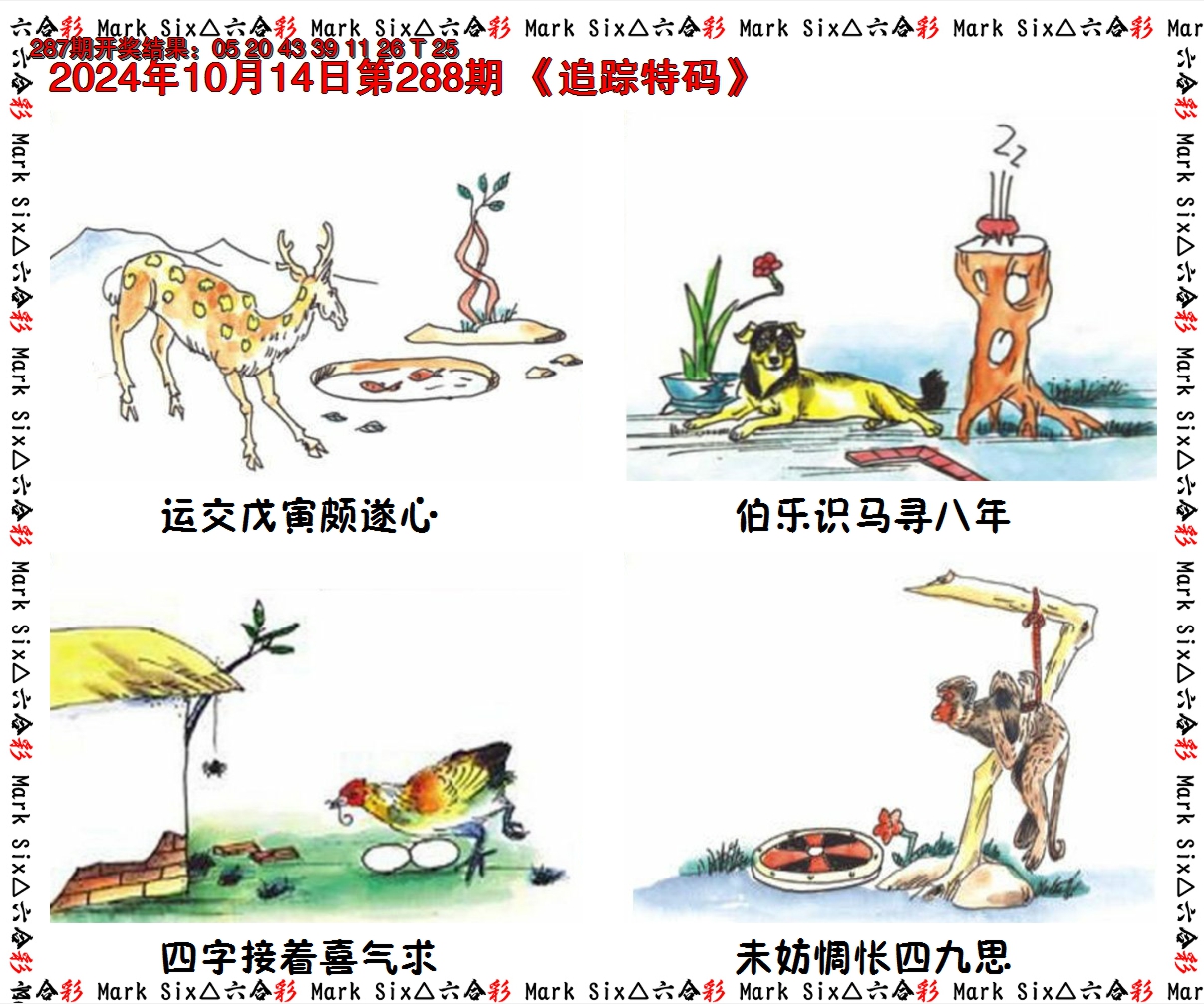 2024288期追踪特码