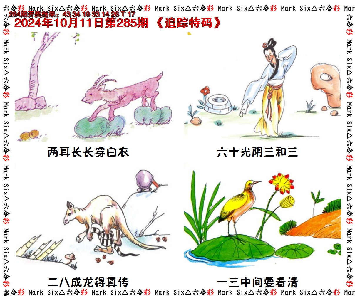 2024285期追踪特码