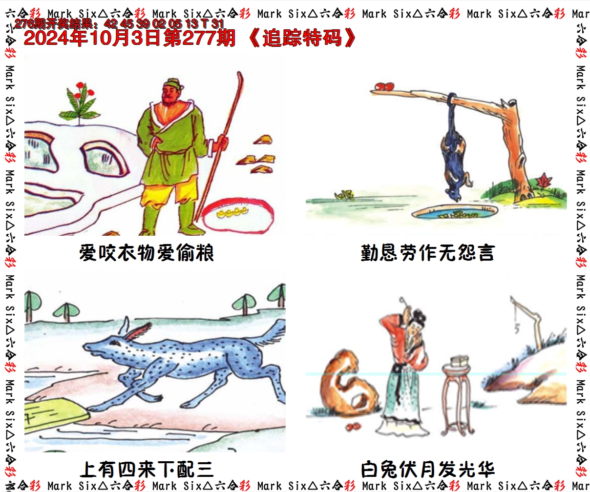 2024277期追踪特码