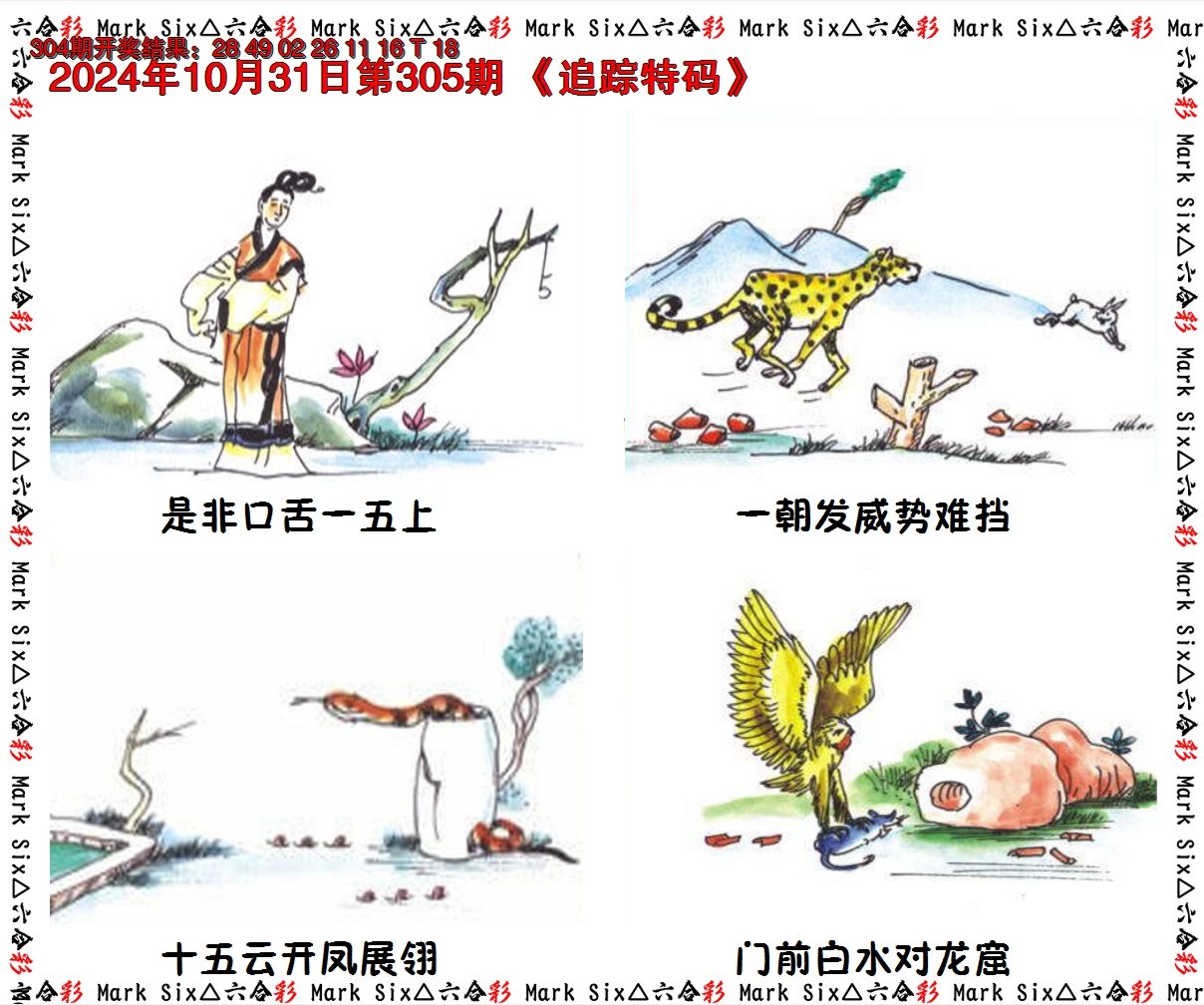 2024305期追踪特码