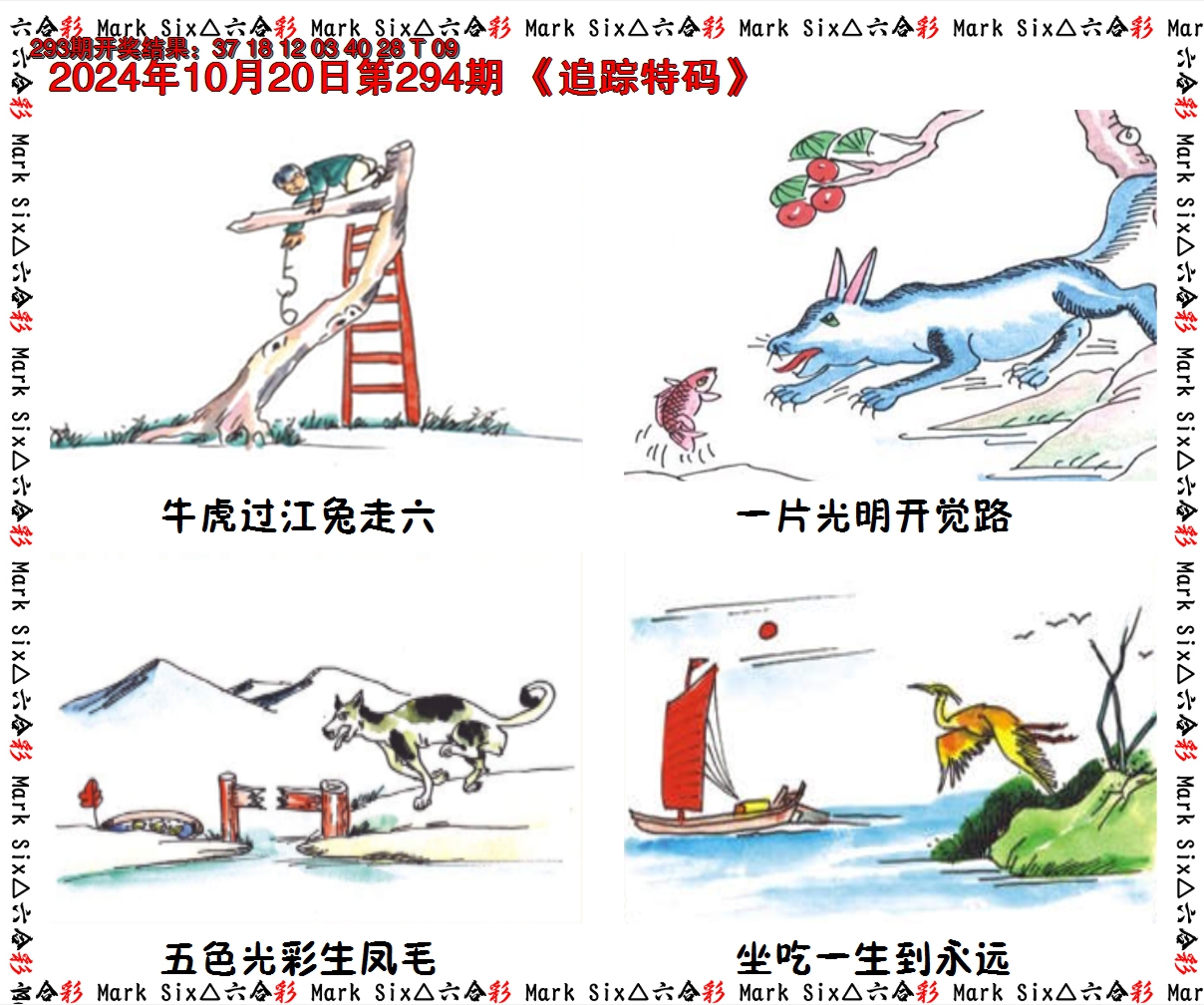 2024294期追踪特码
