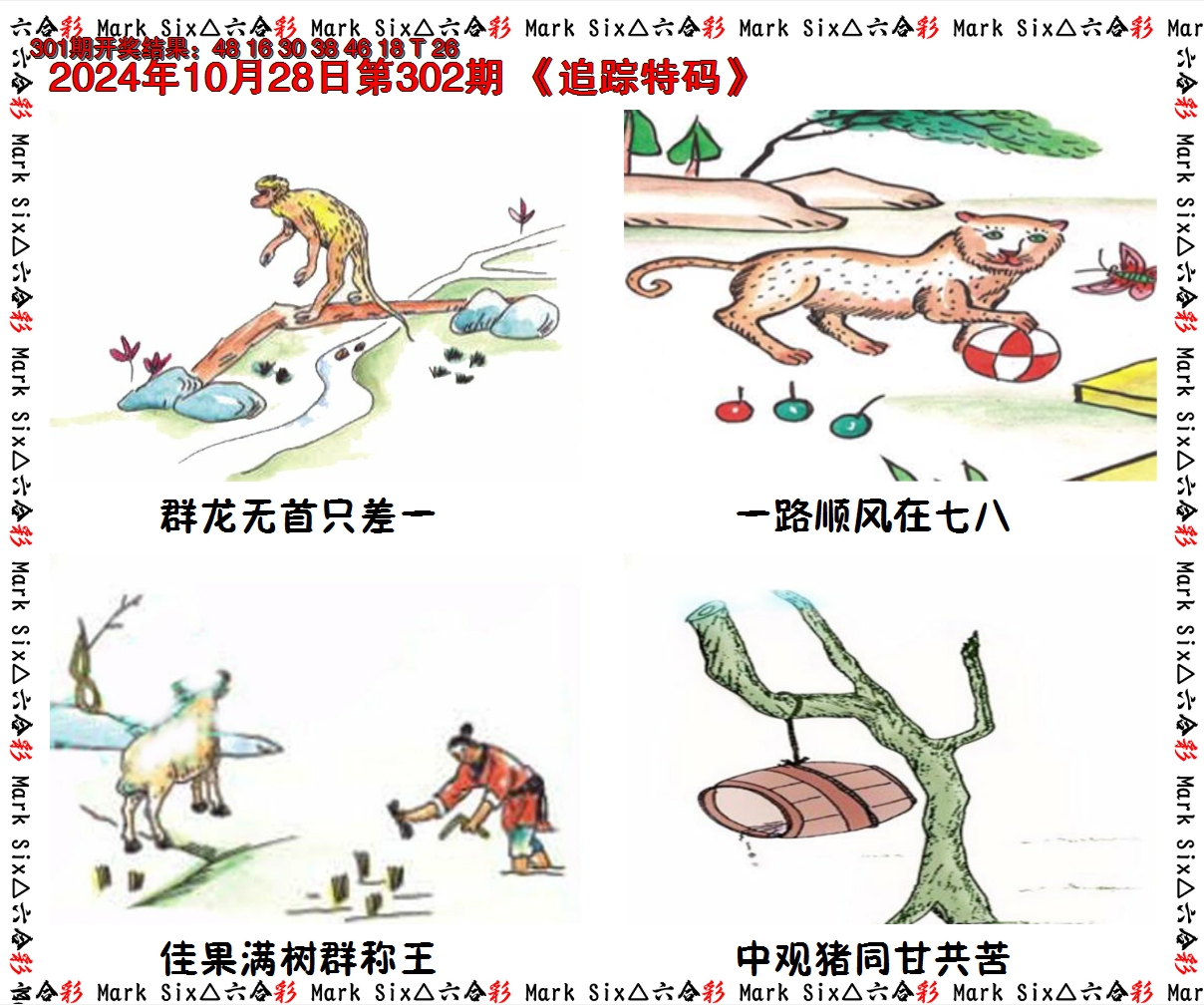 2024302期追踪特码