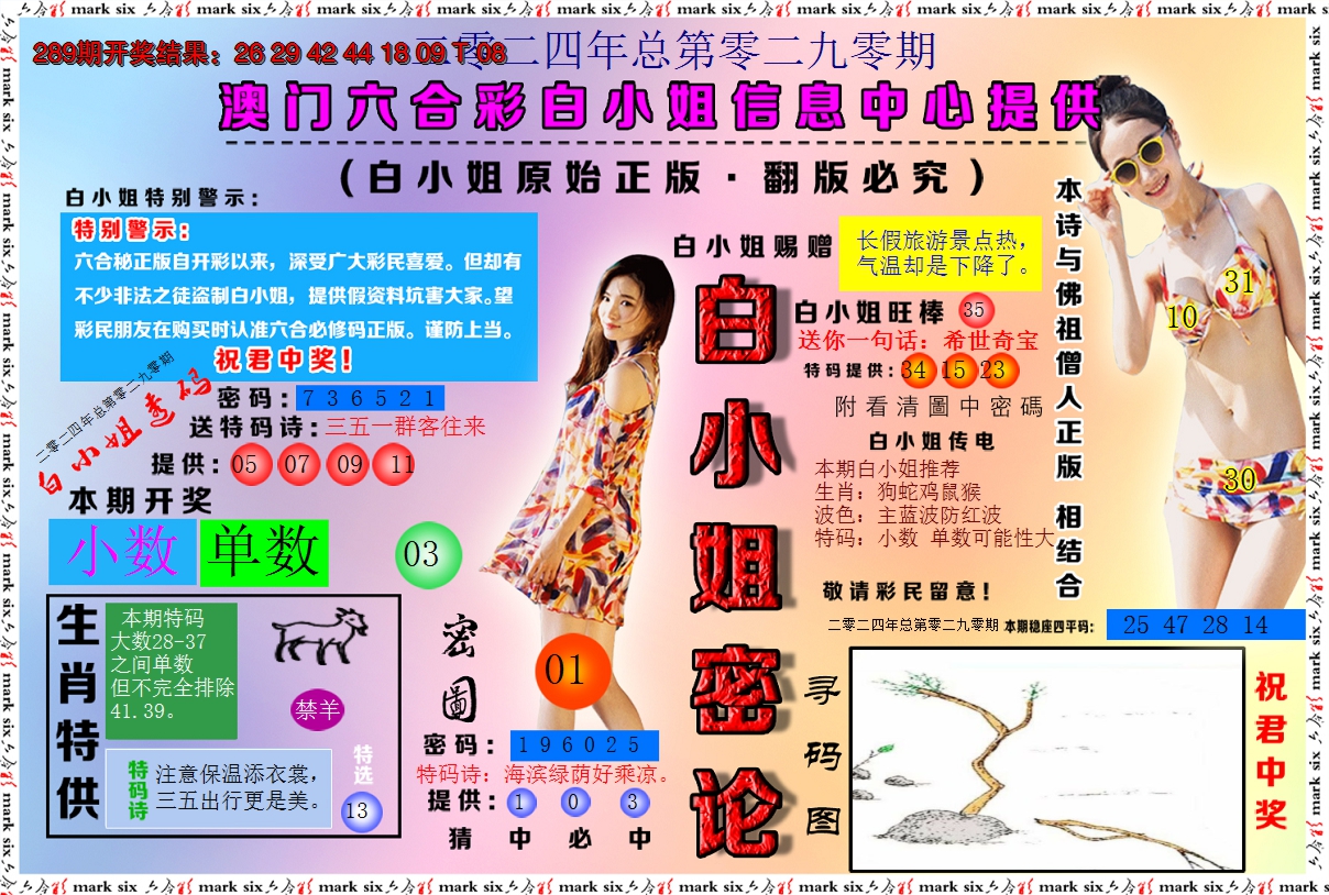 2024290期白小姐密论