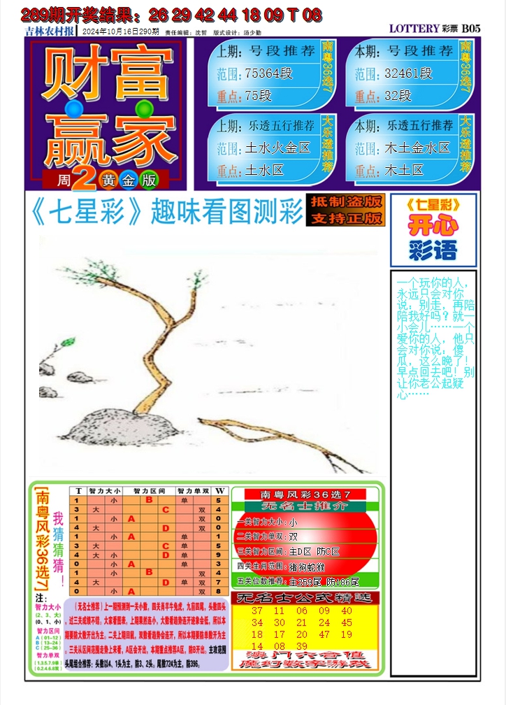 2024290期七星彩图A