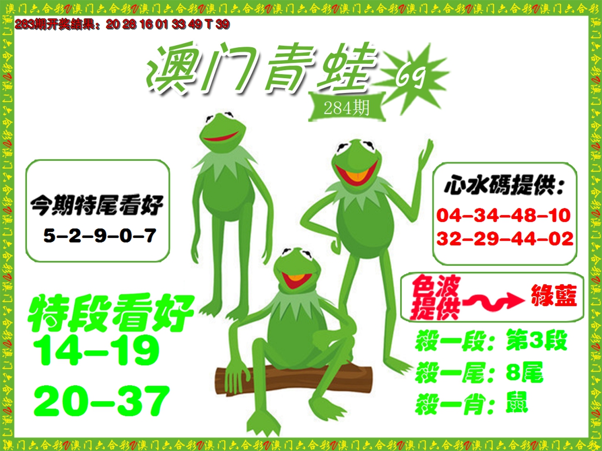 2024284期青蛙系列69