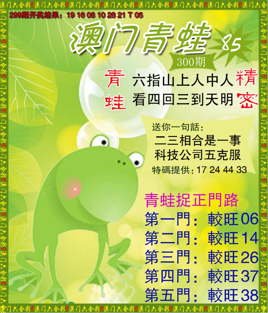 2024300期青蛙系列85