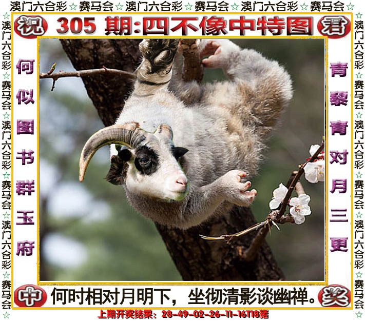 2024305期四不像中特图