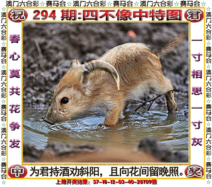 2024294期四不像中特图