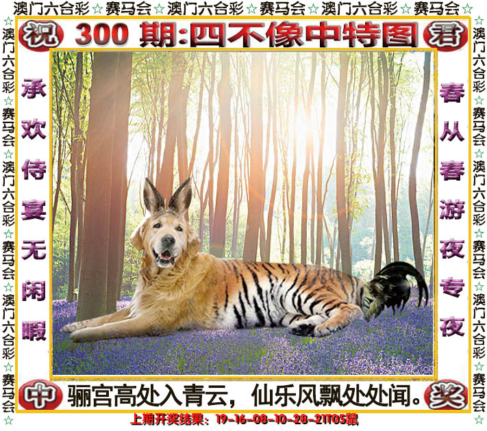 2024300期四不像中特图