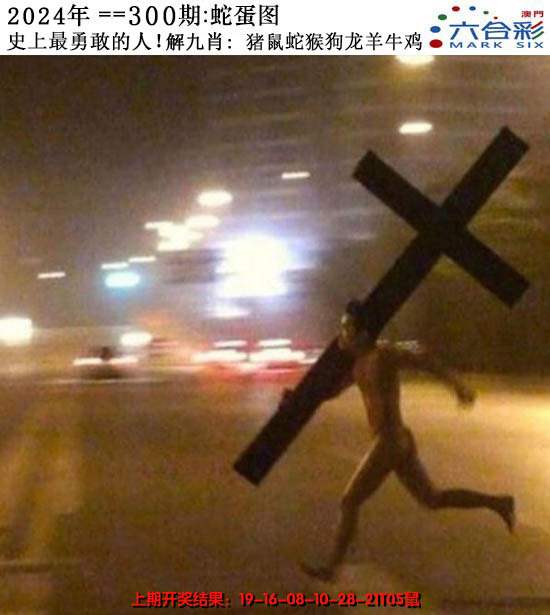 2024300期正版蛇蛋图