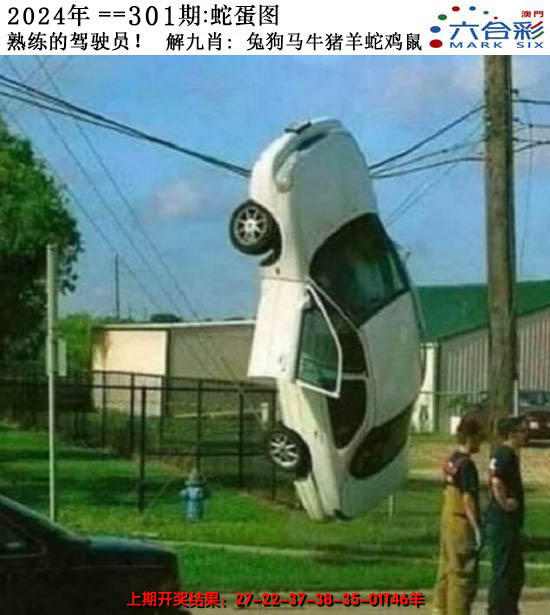 2024301期正版蛇蛋图