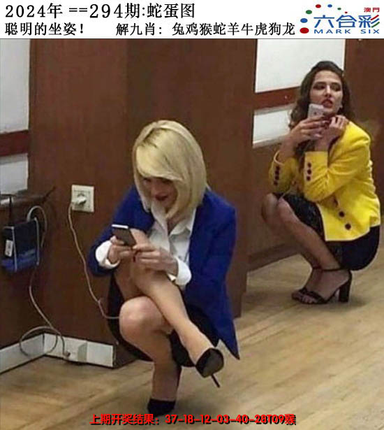 2024294期正版蛇蛋图