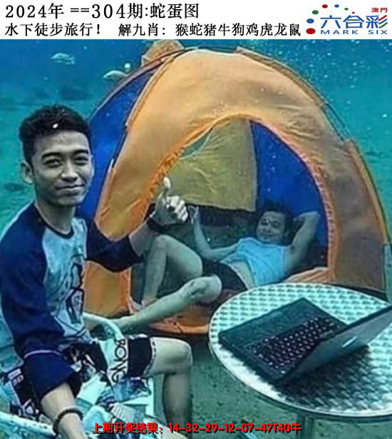 2024304期正版蛇蛋图