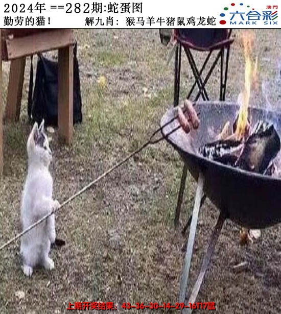 2024282期正版蛇蛋图