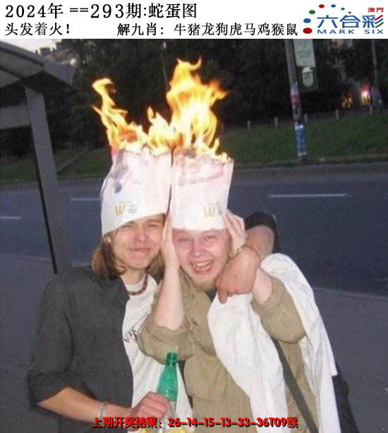 2024293期正版蛇蛋图