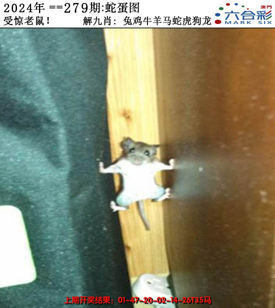 2024279期正版蛇蛋图
