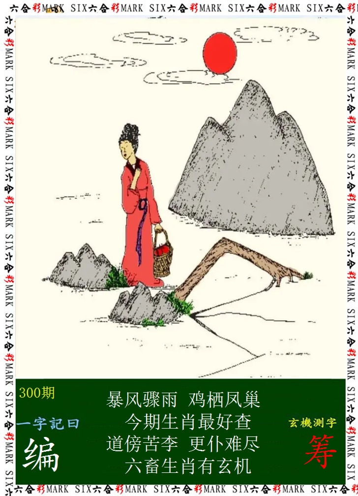 2024300期悟入其图