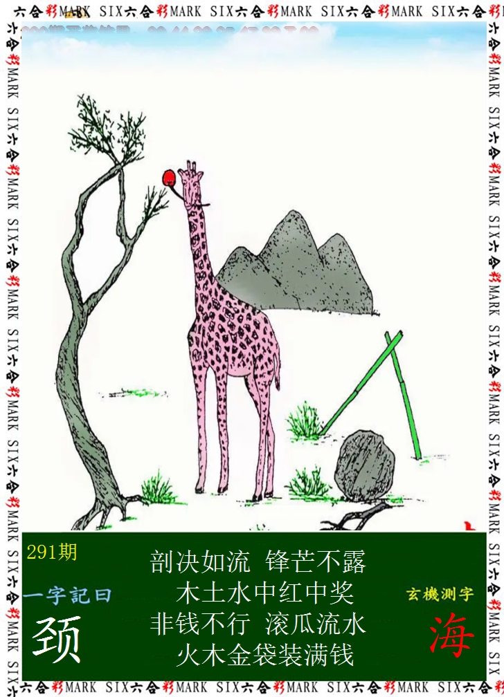 2024291期悟入其图