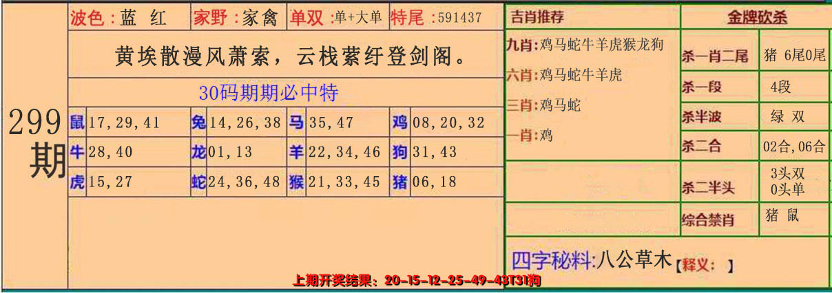 2024299期30码中特