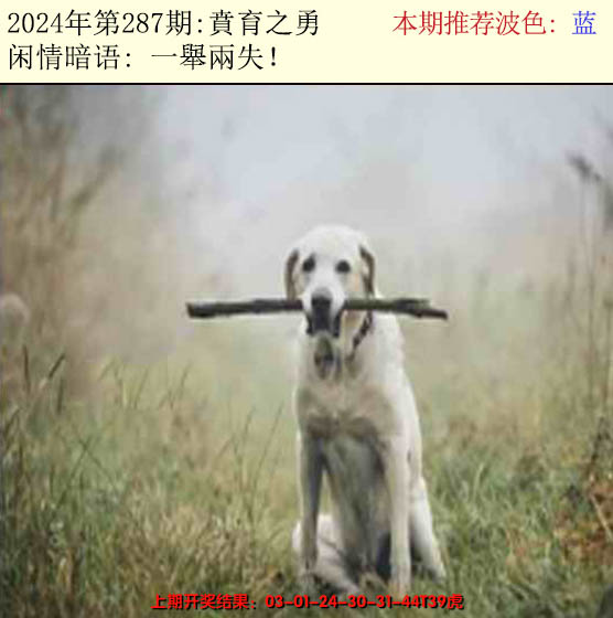 2024287期今日闲情2